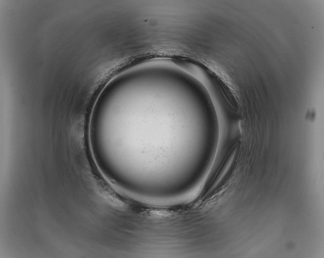 X0000091240442200708161739