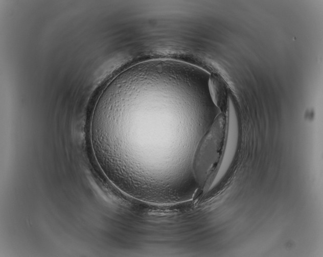 X0000091240443200708161739