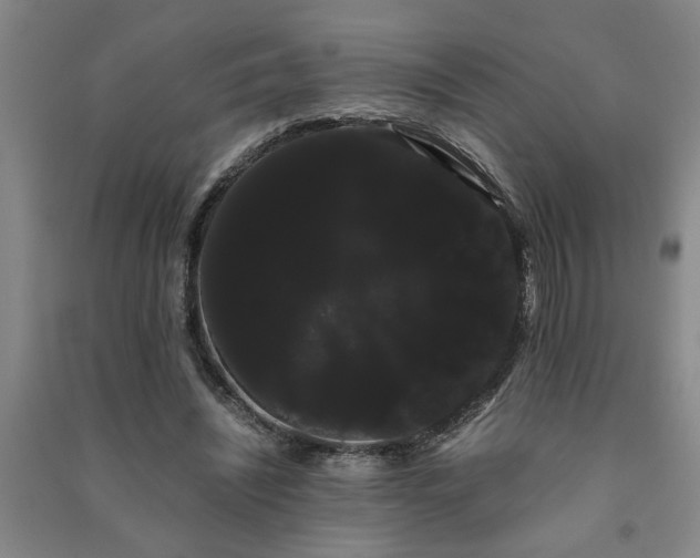 X0000091240444200708161739