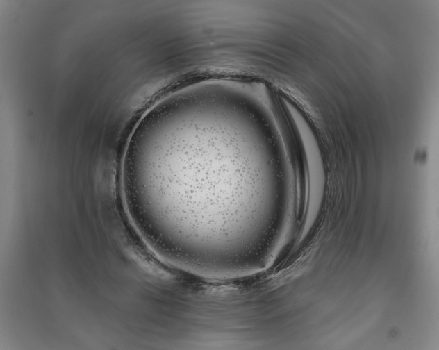 X0000091240446200708161739