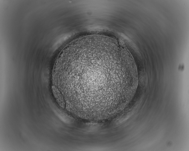 X0000091240448200708161739