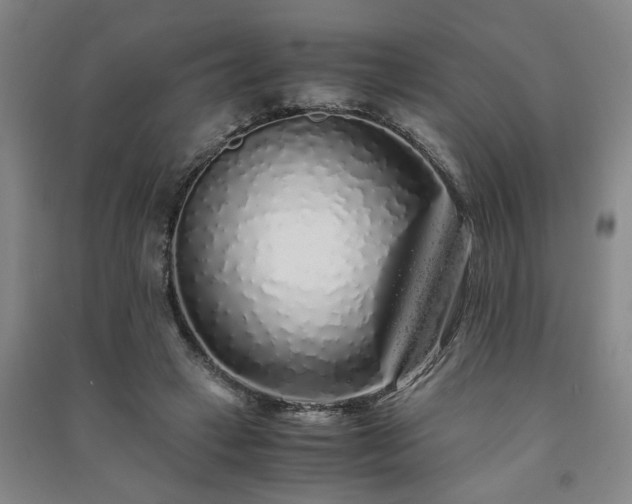 X0000091240449200708161739