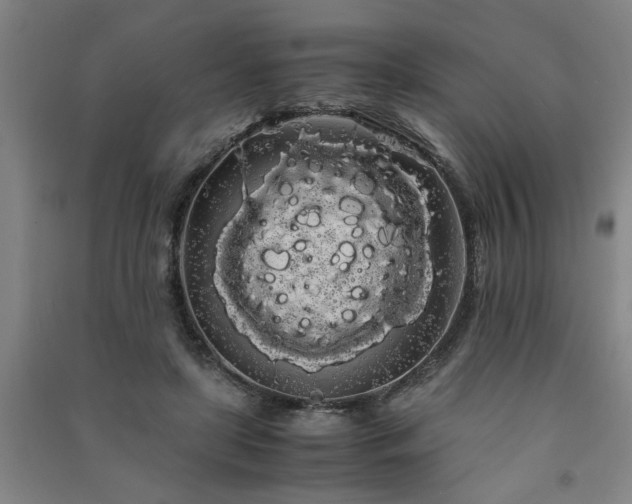 X0000091240451200708161739
