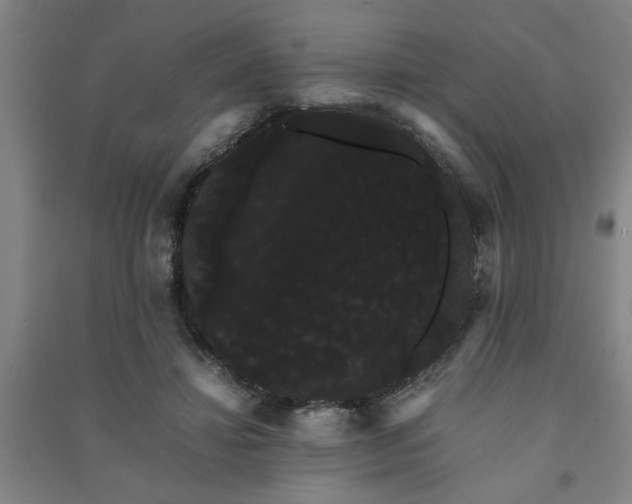 X0000091240452200708161739