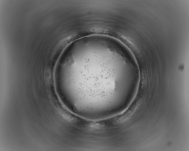 X0000091240453200708161739