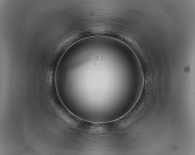 X0000091240454200708161739
