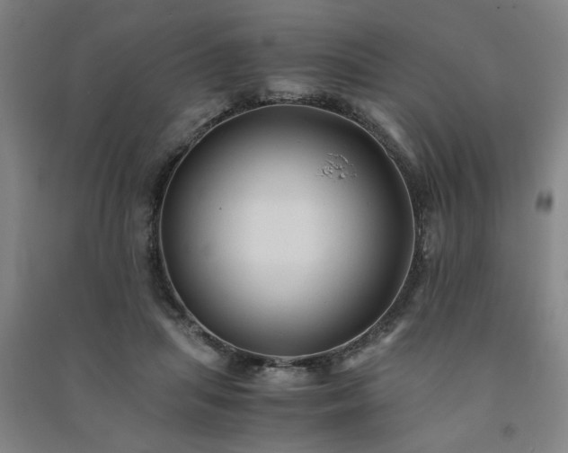 X0000091240455200708161739