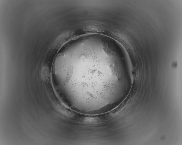 X0000091240457200708161739