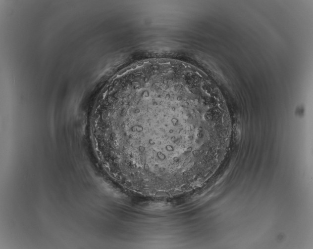 X0000091240458200708161739