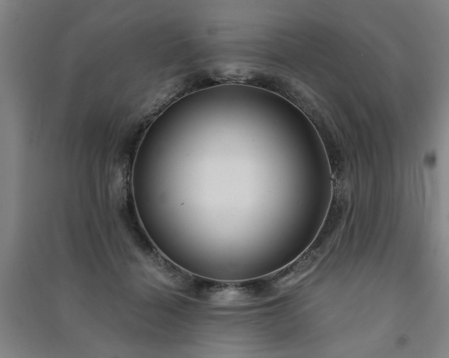 X0000091240460200708161739