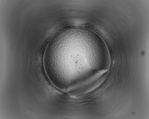 X0000091240461200708161739