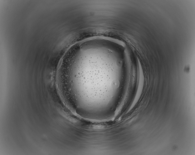 X0000091240462200708161739
