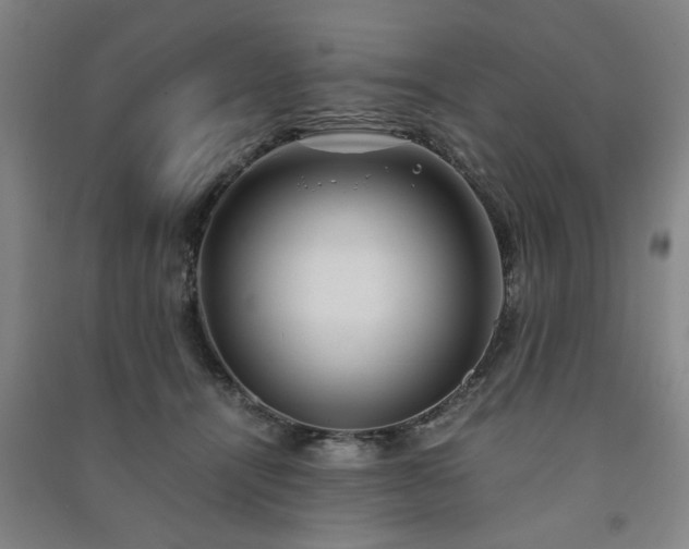 X0000091240464200708161739