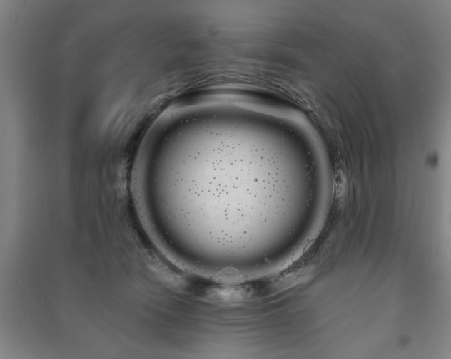 X0000091240466200708161739