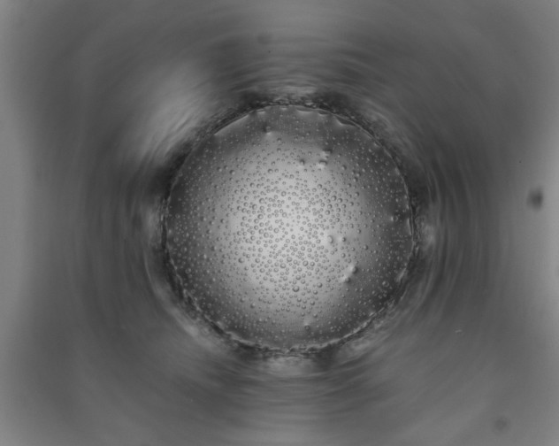 X0000091240468200708161739