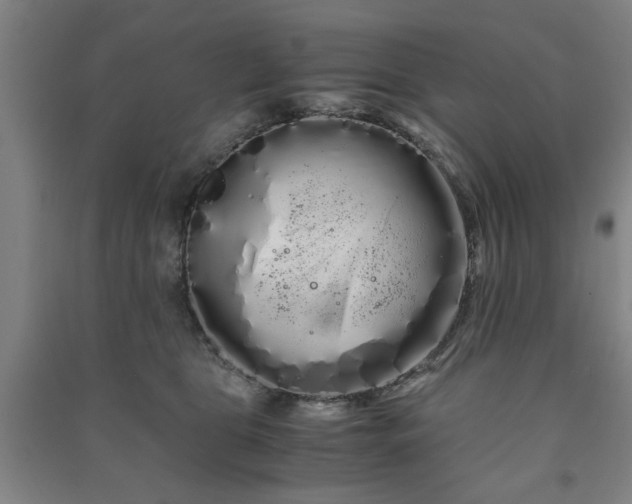 X0000091240469200708161739