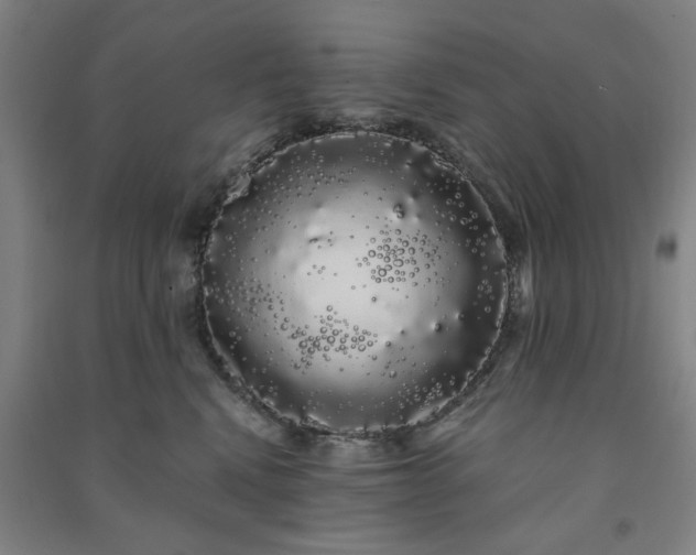 X0000091240472200708161739