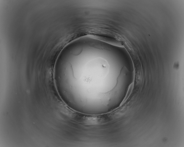 X0000091240473200708161739