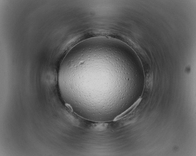 X0000091240474200708161739