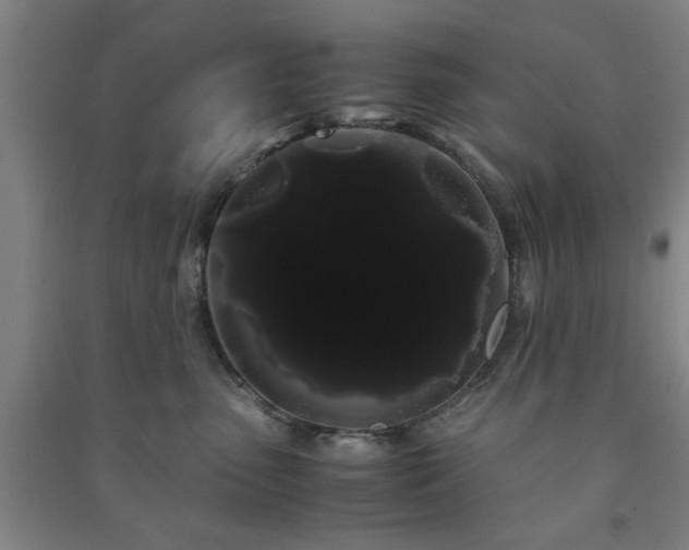 X0000091240475200708161739