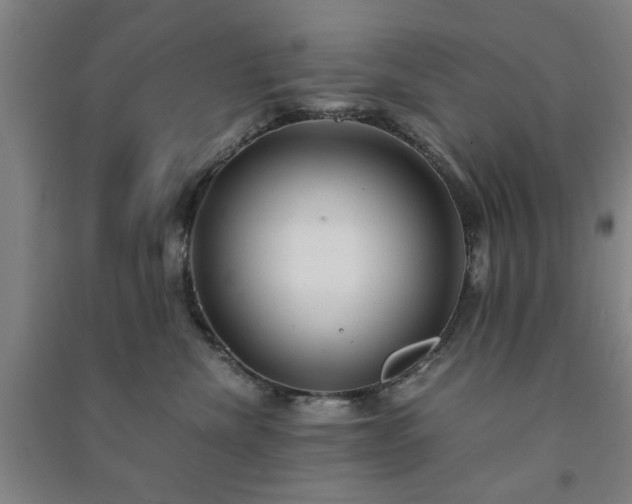X0000091240476200708161739