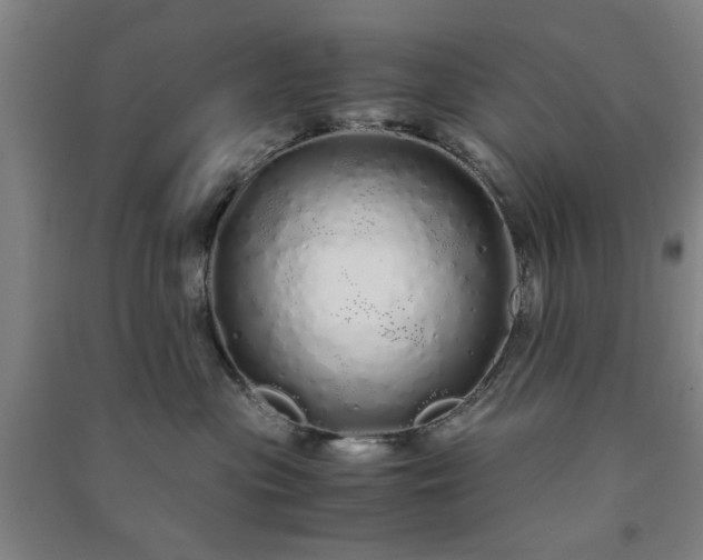 X0000091240477200708161740