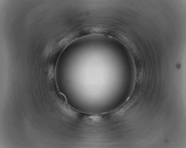 X0000091240478200708161740