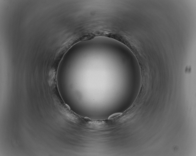 X0000091240480200708161740