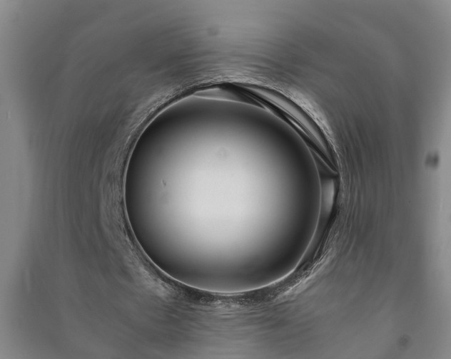 X0000091240481200708161739