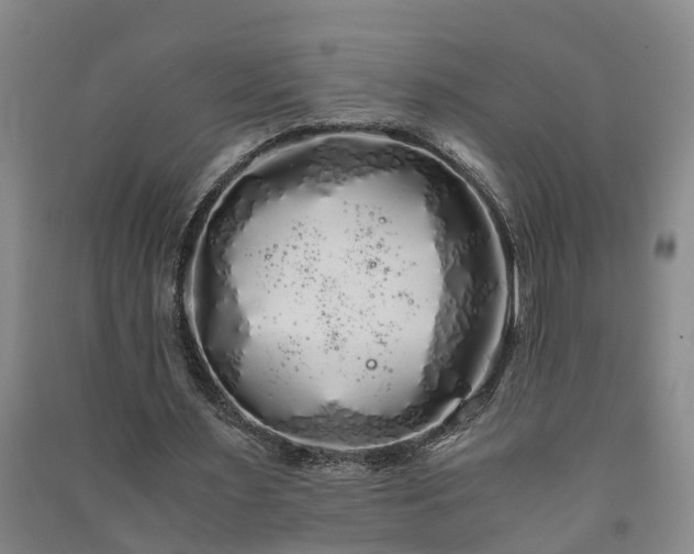 X0000091240483200708161739