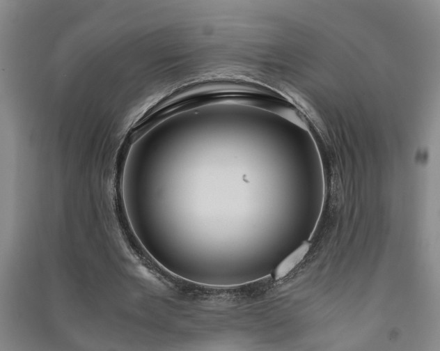X0000091240485200708161739