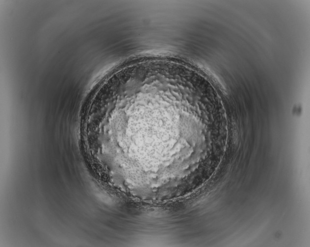X0000091240486200708161739