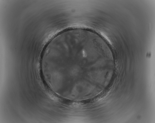 X0000091240487200708161739