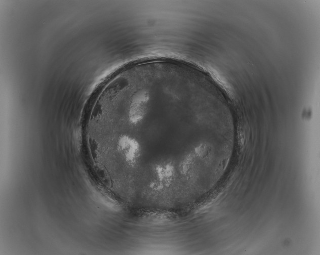 X0000091240488200708161739