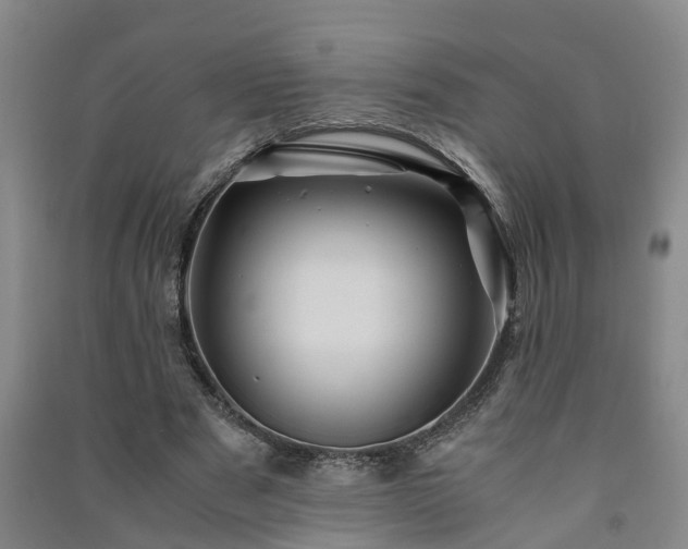 X0000091240489200708161739