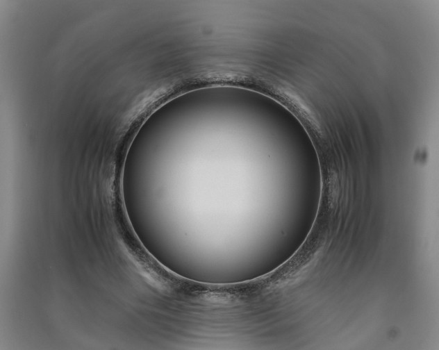 X0000091240490200708161739