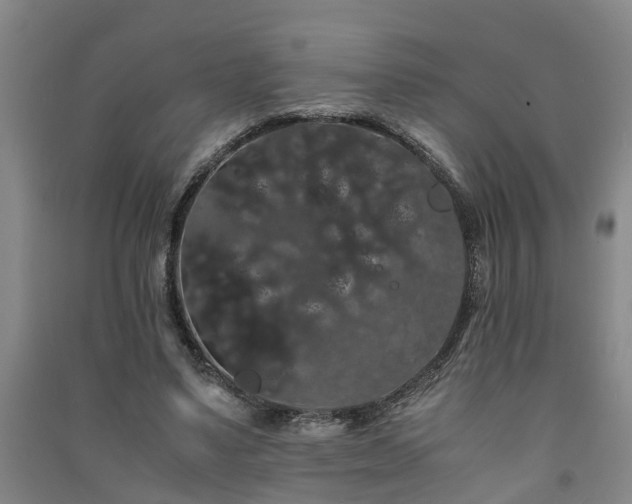 X0000091240491200708161739