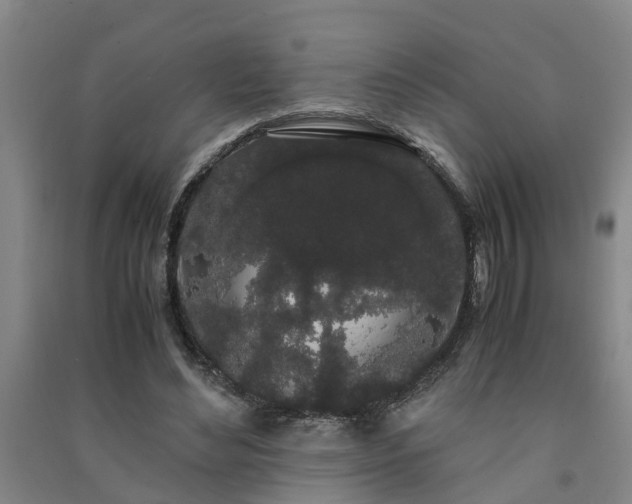 X0000091240492200708161739