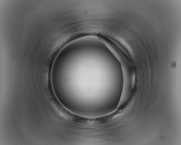X0000091240493200708161739