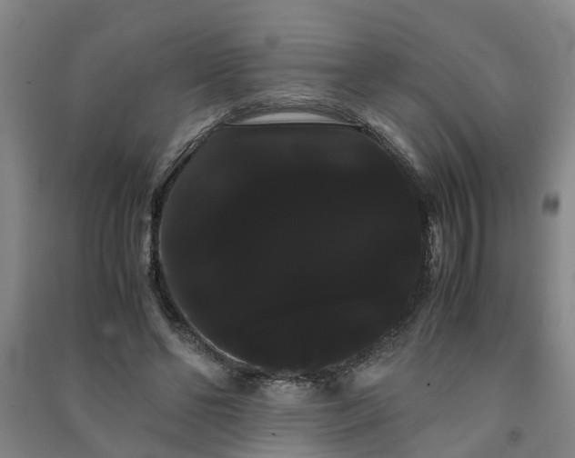 X0000091240494200708161739