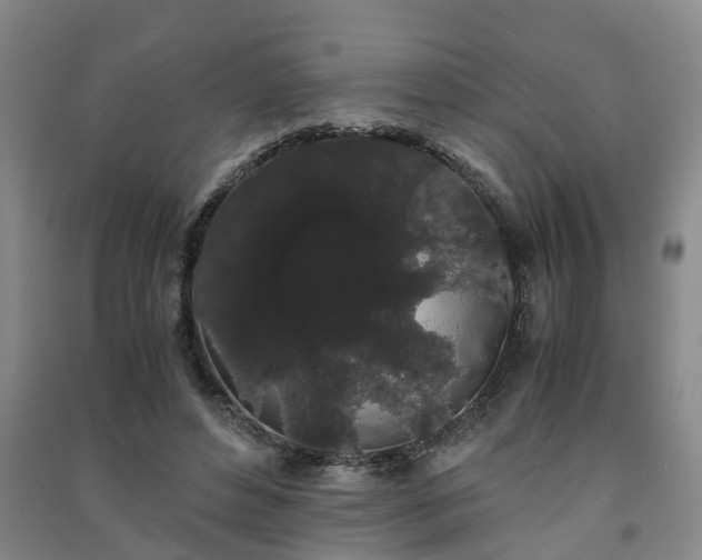 X0000091240496200708161739