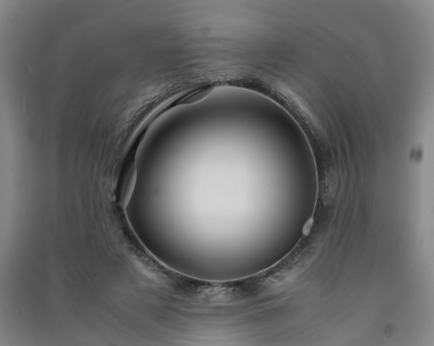 X0000091240497200708161739