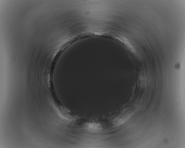 X0000091240500200708161739