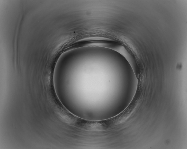X0000091240501200708161739
