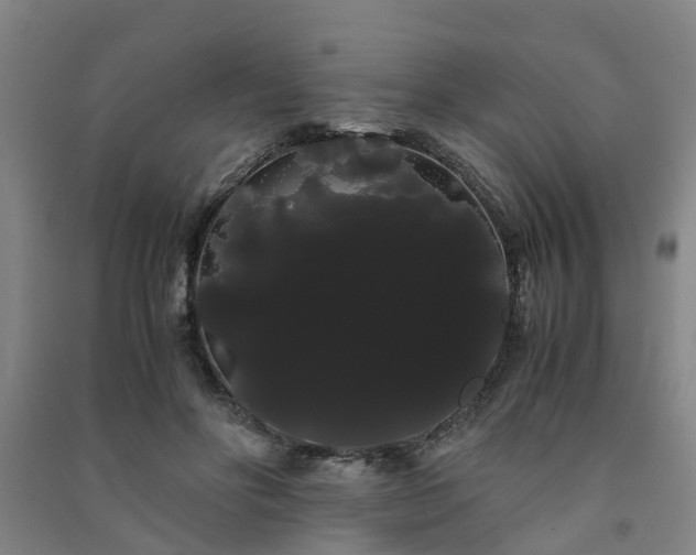 X0000091240502200708161739