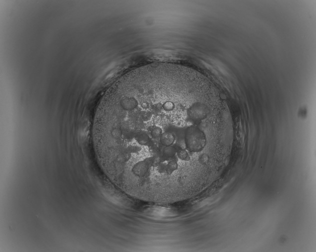 X0000091240507200708161739