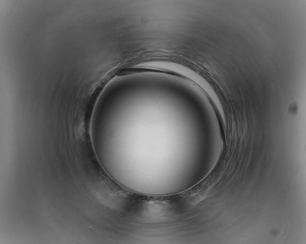 X0000091240508200708161739
