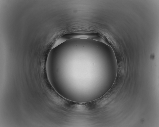 X0000091240509200708161739