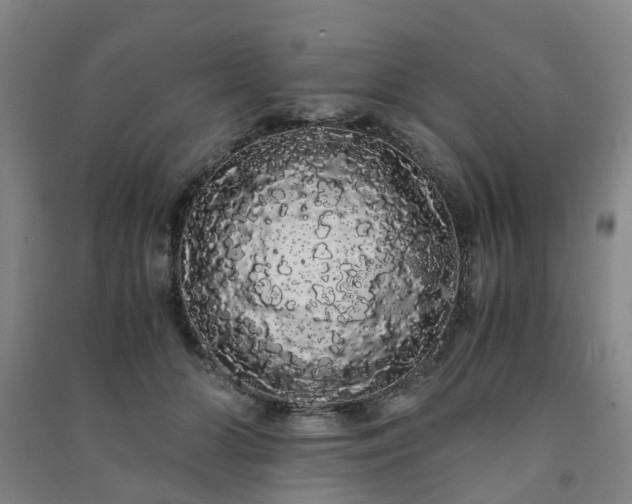 X0000091240510200708161739