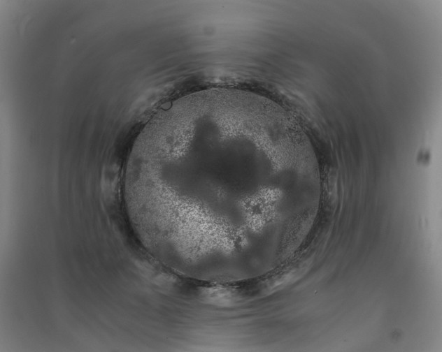 X0000091240511200708161739